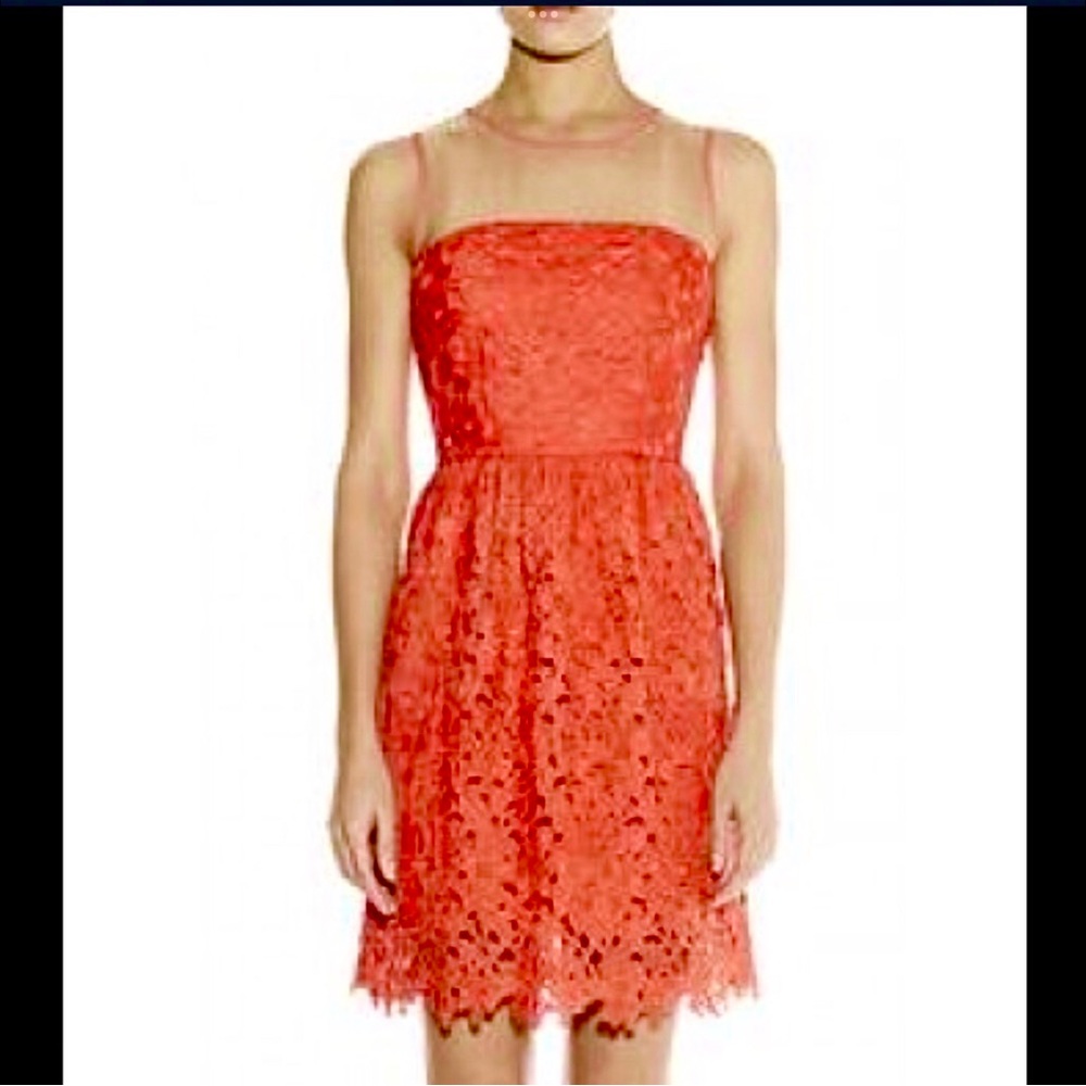 Darling Coral 'Sienna' Lace Dress - Picture 2 of 13
